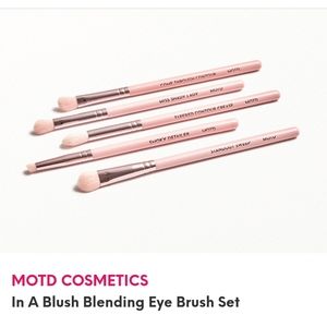 MOTD Set brushes